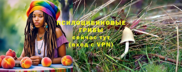 прущая мука Алзамай