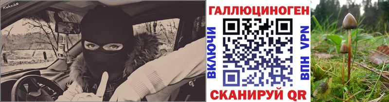 blacksprut как войти  Раменское  Галлюциногенные грибы ЛСД 